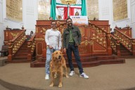 Congreso de CDMX aprueba dictamen para declarar el 12 de abril como “Día de los Seres Sintientes”; buscan proteger a todos los animales