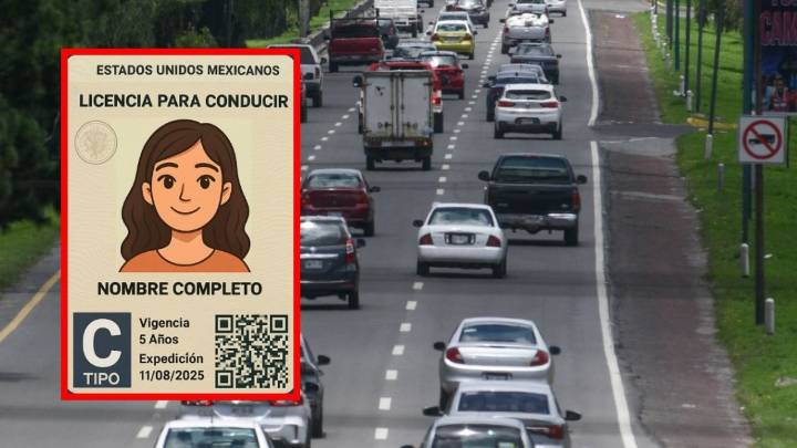 ¿Cómo tramitar la licencia con validez nacional e internacional? Lista de requisitos oficiales para diciembre