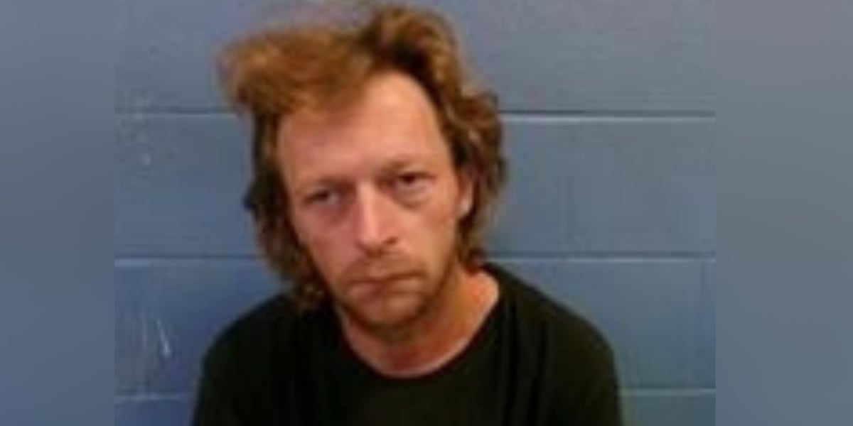 Man sentenced after 24 dead cats were found in deep freezer, authorities say