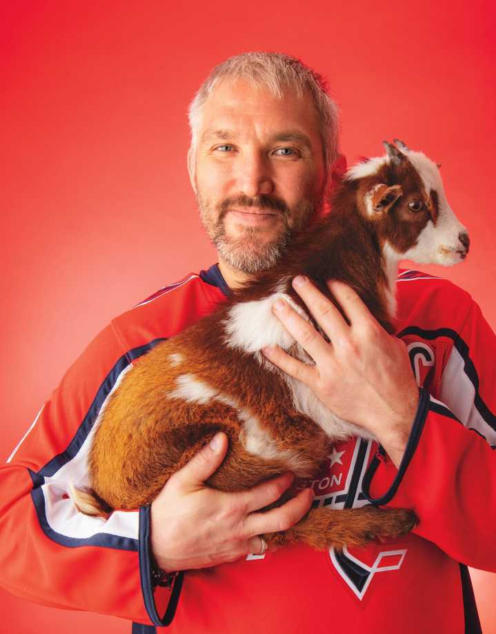 7 Good Things That Happened Around DC in 2025