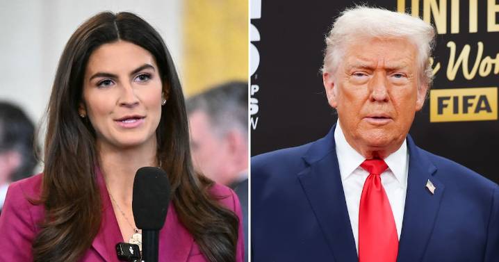 Kaitlan Collins Slaps Down Trump After He Called Her ‘Stupid’
