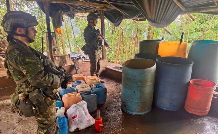 Destruyen siete laboratorios de coca en San Carlos