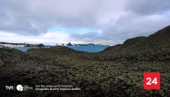La Antártica tiene más de 107 mil hectáreas de vegetación, revela estudio inédito