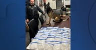 K-9 finds over 50 pounds of meth in traffic stop