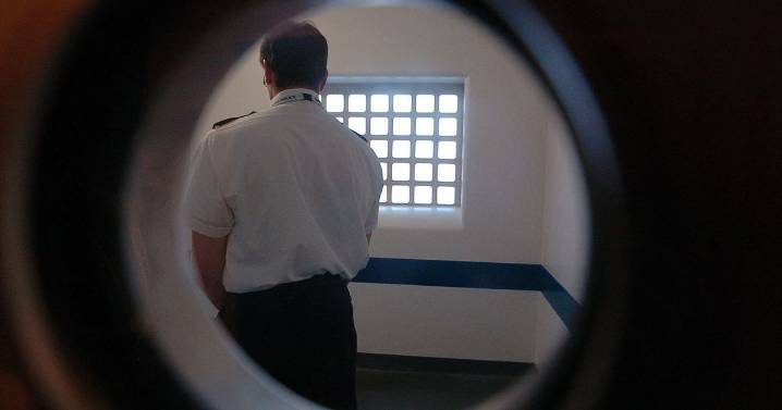 Drug users in police cells 'with bladder issues so serious they're wearing nappies'