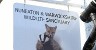 Nuneaton wildlife sanctuary's 'emotional' decision over Warwickshire bird flu cases