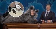 From a Virginia ABC Store to late-night comedy: 'Saturday Night Live' spoofs drunk raccoon