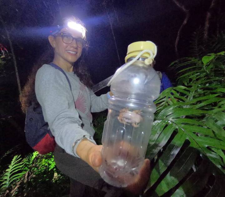 State launches invasive pest site