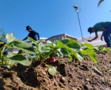 Preparatoria 19 vincula su labor de agricultura urbana con la cooperativa barcelonesa Tarpuna