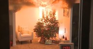 Great Falls Fire Rescue shares Christmas tree safety reminders