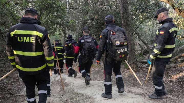Peste Porcina Africana en España: Aprueban Caza Masiva de Jabalíes en Barcelona