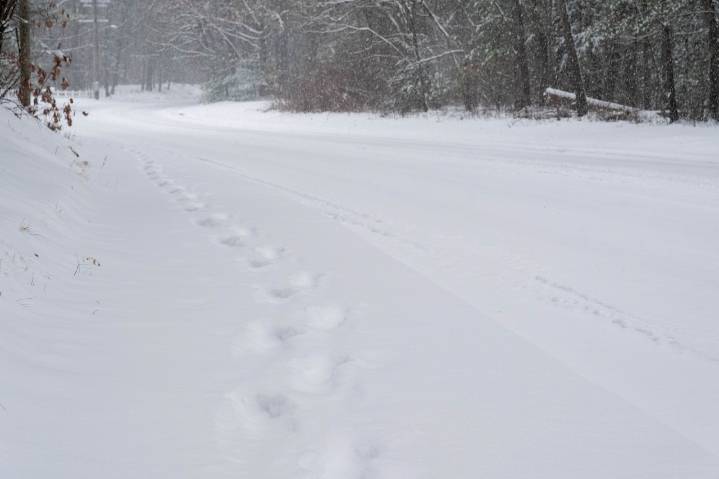 Massachusetts weather forecast: Arctic blast to follow damp weekend