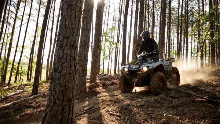 Muere el acompañante de un quad al chocar con una vaca en Moià: el conductor da positivo en cocaína