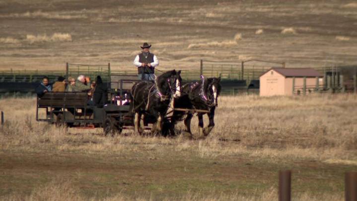 Warm weather impacts elk-viewing sleigh rides in Cache Valley