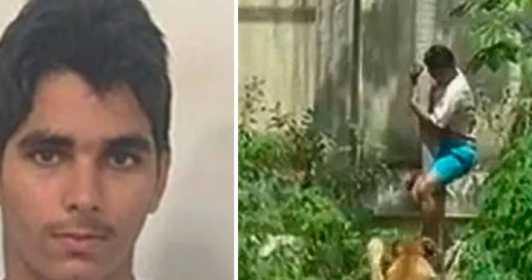 El joven que entró en la jaula de una leona en Brasil tenía esquizofrenia y el sueño de ser domador