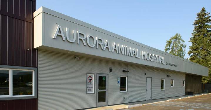 Emergency veterinary care swing shift moves to Aurora Animal Hospital