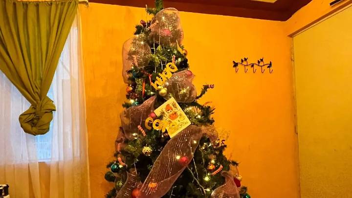 Familias gastan entre 750 y mil 200 pesos para adornar pino de Navidad