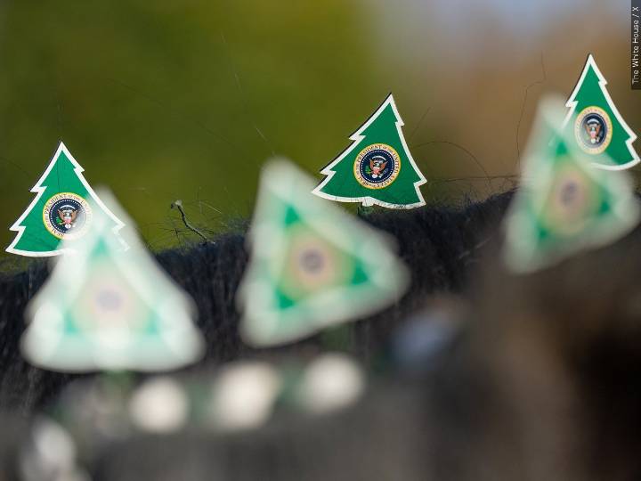 White House tours resume in time for Christmas, but they’re different than before