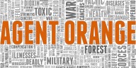 Agente Naranja Vinculado a Cánceres Raros de Médula Ósea