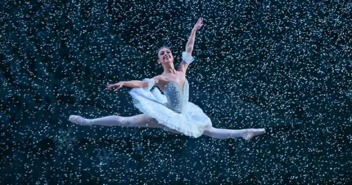 7 best things to do in Colorado this weekend: Dec. 12