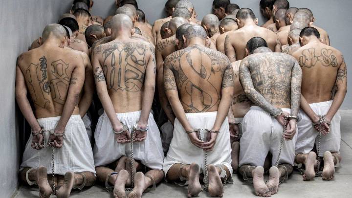 Experto constitucionalista criticó el aumento de penas previsto en la reforma del Código Penal: "Salvajismo"