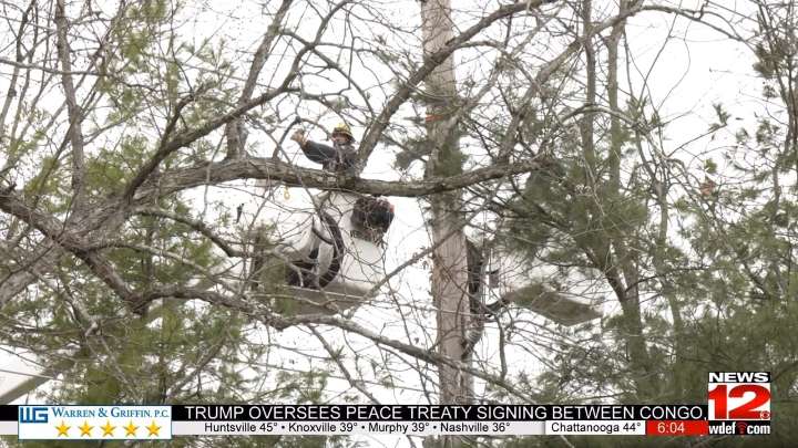 Lookout Mountain Power Outage Cleanup