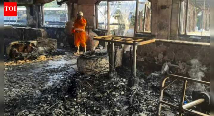 25 killed in Goa nightclub inferno; police team in Delhi to arrest owners