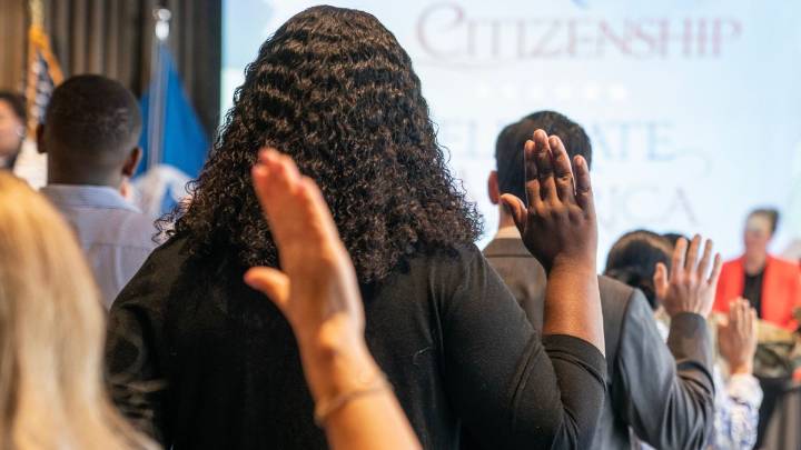 Proyecto de ley para eliminar la doble ciudadanía