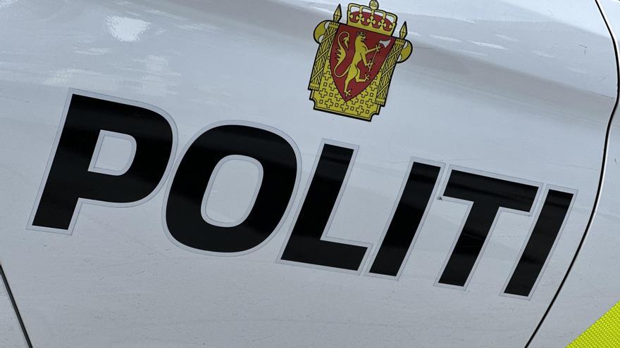 Detenido un joven tras realizar un disparo en el principal centro comercial de Oslo