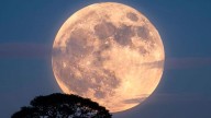 Superluna de diciembre: cuándo se podrá ver este fenómeno