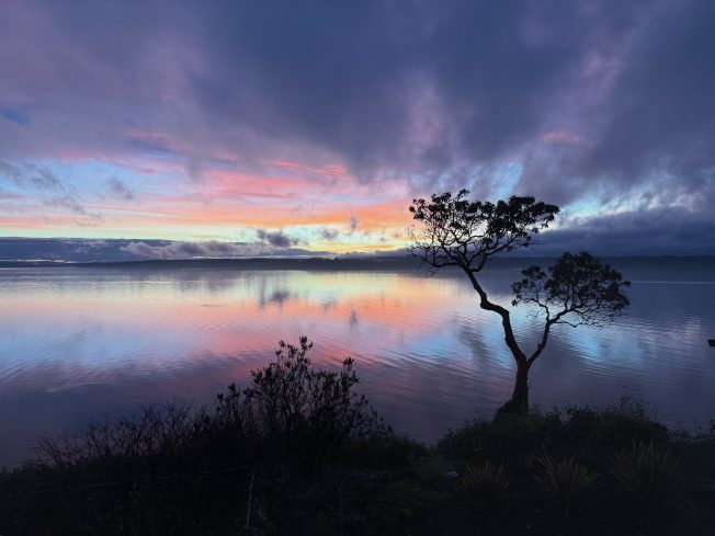 West Seattle Blog… | WEST SEATTLE SATURDAY: Admiral’s Winter Wonderland plus many more holiday happenings, and a non-holiday event list too