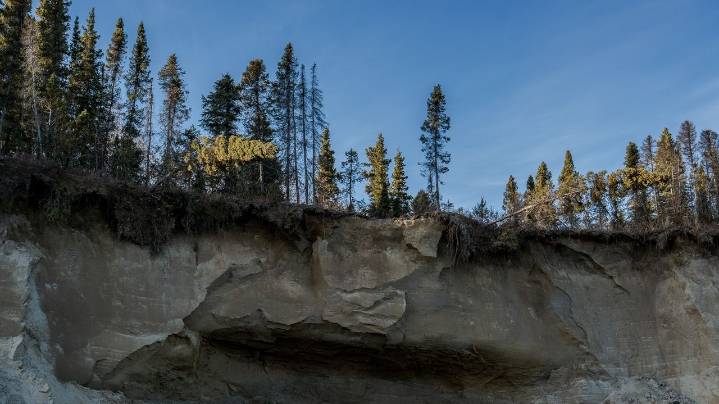 Takeaways from AP's report on potential impacts of Alaska's proposed Ambler Access Road