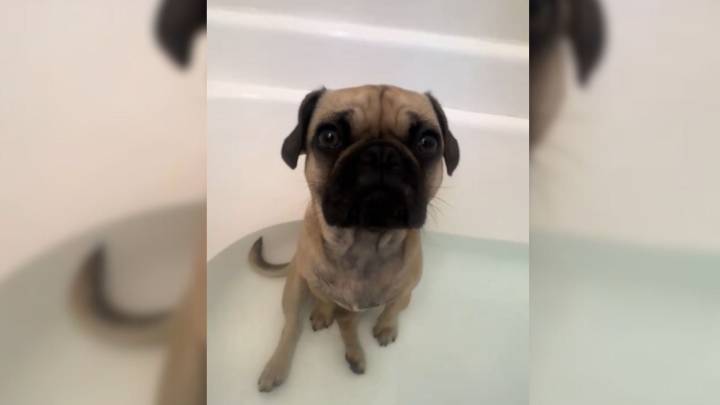 California Woman’s Bath Time Takes An Unexpected Turn With A Mysterious Intruder