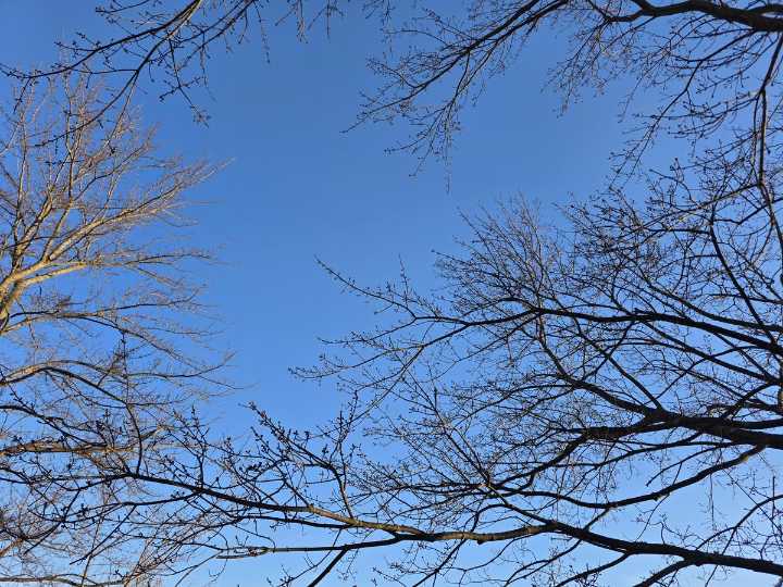 NJ weather: Cold and fairly quiet, then getting even colder