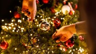 Falta una semana: ¿por qué se arma el árbol de Navidad el 8 de diciembre?