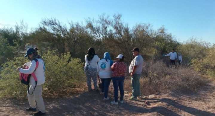 Reconocer derecho de búsqueda pide Amnistía Internacional a México