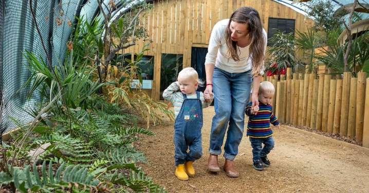Bristol Zoo's new Tropical House now home to endangered species