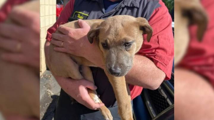 Minnesota Worker Checks A Mysterious Backpack In A Dumpster And Finds A Heartbreaking Surprise