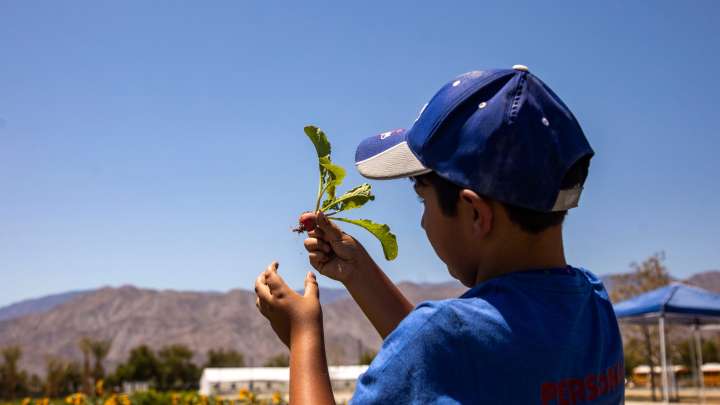 How Aziz Farms helps students understand local agriculture
