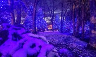 Deadline for Freeman’s Holiday Lights 2025 tour is Sunday