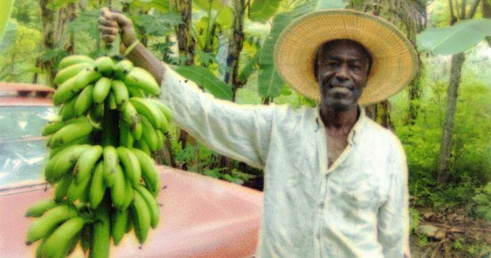 The ‘Mushroom Man’ is remembered by friends as a tailor and nature lover