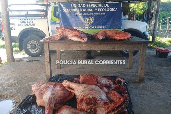 Más carne robada: En una Toyota Hilux llevaba una vaca faenada (Imágenes)