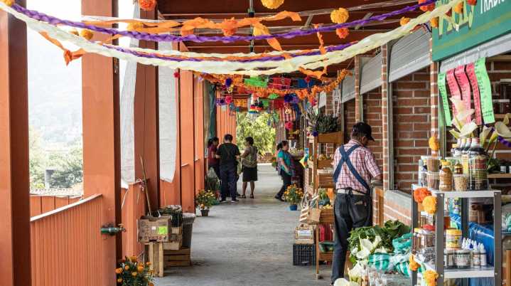 Otorga Tepoztlán más de 10 locales a comerciantes que dejaron la Plaza Cívica; recibirán apoyos de hasta 15 mil pesos.