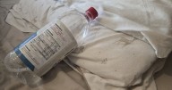Households urged to sprinkle vinegar on mattress as infestation bites