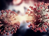 Salud Pública reporta cuatro casos de Covid