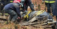 Virginia firefighters rescue used sled to horse stuck in mud