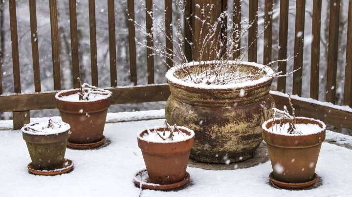 8 Types Of Planters That Can Survive Outdoors In The Winter