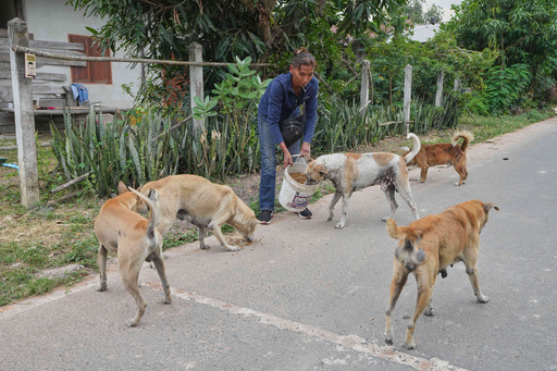 Thai villagers stay behind to guard empty homes as border clashes force mass evacuations