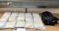 Canadian accused of smuggling 15 kg of meth to New Zealand