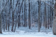 Second snow of December coats D.C. area. Here’s how much fell.